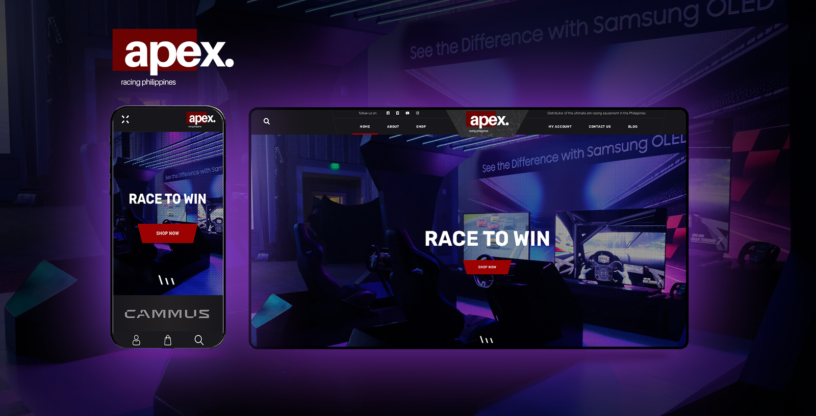 Website Development 2